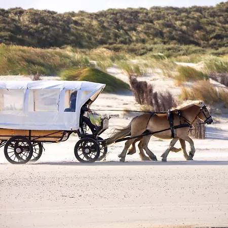 Appartementhaus Bracht - Strandperle Appartamento